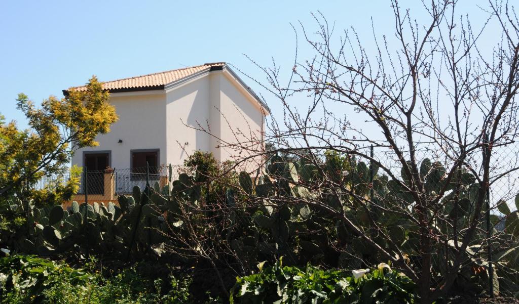 La Circumetnea Home 卡塔尼亚 外观 照片